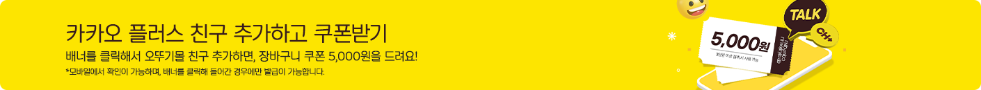 카카오 플러스 친구